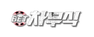차무식벳