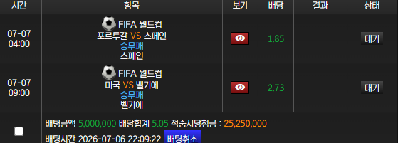 미국벨기에.png