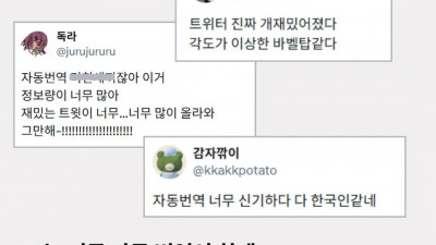 트위터 자동번역 기능을 믿으면 안 되는 이유