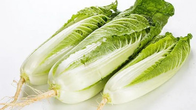 봄동 이름 논란이 생긴 아주 간단한 이유