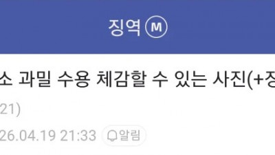 징역갤러가 말해주는 교도소 화장실 실태와 징역 썰