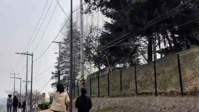 요즘 30대 여성 클론 패션 ㄷㄷ