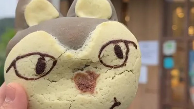 '빵의 도시' 대전 늑구빵 가격 근황