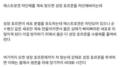 스테로이드 꼽으면 ㅈ되는 이유