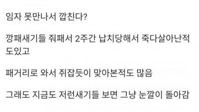 징역 갤러리에 올라온 진짜 분노조절장애