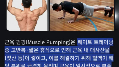 헬스 근육펌핑 원리