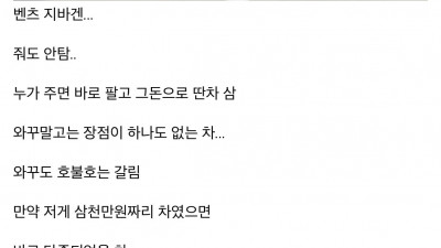 2억대 병신 같은 차 원탑