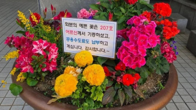 꽃 화분 기증 후 민원 차단까지 하신 어르신