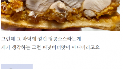 맘스터치 김풍버거 & 치킨 후기